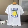 Camiseta de Malla de Manga Corta para Hombre, Holgada, Casual, Delgada, Fruta Pera, Manga Media, Top