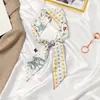 Laço francês retrô faixa de cabelo feminina prendedor de cabelo fita fina celebridade da internet prendedor de rabo de cavalo lenço pequeno longo versátil primavera e outono
