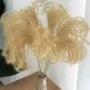Flores de Caña Secas Naturales, Pasto Pampas Flor Real para Decoración de Sala de Estar, Textiles Suaves para Habitaciones Modelo de Casa de Huéspedes, Ramo de Caña y Trigo