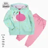 Comercio Exterior Ropa Infantil Primavera y Otoño Conjunto Infantil de Dos Piezas Material Sudadera Sudadera con Capucha Ropa Infantil para Bebés Ropa de Salida [Al por Mayor]