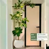 Planta Verde Grande de Maceta de Moda: Higuera de Bengala, Higuera Dorada, Higuera Alpina, Árbol de Goma de Piso para Sala de Estar Interior