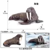 Simulação Tubarão Modelo de Animal Marinho Grande Tubarão Branco Megalodon Tubarão Tigre Baleia Azul Polvo Polvo Lagosta Brinquedo