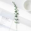 Flor Artificial de Eucalipto Solteira Toque Real Eucalipto Folhas de Dinheiro Recortes Decoração de Casa DIY Arranjo de Flores Folhas de Planta Verde