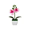 Mini 3 orquídeas artificiales Phalaenopsis en macetas aterciopeladas, suministro de exportación directa, flores artificiales de tacto realista, bonsái, accesorios para fotografía