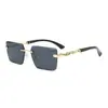 2026 Gafas de Sol Cuadradas de Moda Celebridad de Internet Personalidad Europea y Americana Sin Montura Leopardo Personalidad Gafas de Sol de Marca Grande Venta al por Mayor