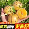 Fruta de Pulpa Amarilla con Envío Gratis, Fruta de Ginseng Fresca de Temporada de Yunnan, Corazón Amarillo, Súper Dulce, Caja Completa, Fruta Redonda Shilin, Producto Chino Auténtico