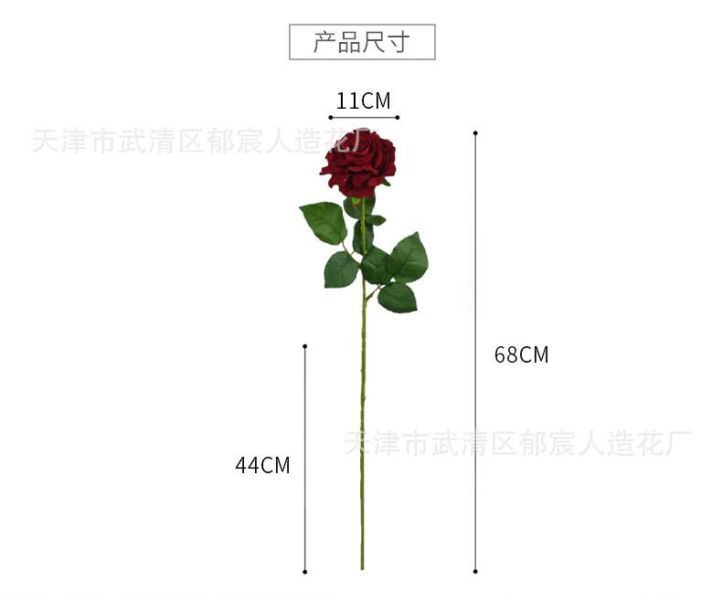 详情_02.jpg