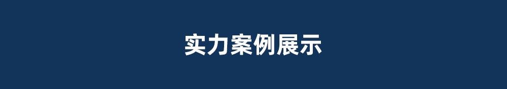 实力案例展示.jpg