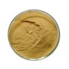 Extracto de Polygonatum Odoratum Materia Prima Alimentaria Polisacárido de Polygonatum Odoratum Polisacárido Crudo Fábrica Punto de Venta Personalizado Polvo de Polygonatum Odoratum Soluble en Agua