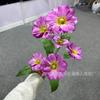 Simulación de mariposa de 6 cabezas, flor de seda, decoración para el hogar, sala de estar, boda, flor falsa, accesorios de tiro al aire libre, venta al por mayor de flores