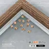 Decoraciones Explosivas para Uñas Color Champagne Zirconia, Huevos de Paloma de Azúcar de Roca, Forma de Corazón, Cuadrado Grueso, Melard, Pedrería Irregular para Uñas al por Mayor