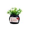 Enfeites de carro auspiciosos frutas personalidade criativa masculina e feminina produtos de baunilha incenso planta decoração vaso porta-perfume de carro