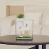 Acuario de Plástico para el Hogar, Tanque No Reflectante para Peces Dorados, Acuario Multifuncional, Mini Tanque para Guardar Peces Ornamentales Acrílicos