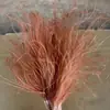 Grama Penugem de Fada Grama Sonhadora Pena de Pássaro Imortal Flor Preservada Grama Sonhadora Eterna Flor Seca Grama Imortal Eterna Decoração Arranjo de Flores