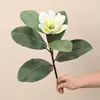 Hojas de magnolia artificiales, ramas falsas artificiales, plantas verdes decorativas para habitaciones modelo de hotel, arreglos florales de boda, flores de magnolia