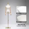 Exibição de Modelo de Roupas Femininas com Roupas Coreanas de Meio Comprimento, Vestidos de Noiva, Props para Vitrine de Loja de Roupas Cheongsam, Corpo Humano