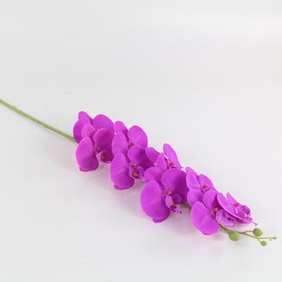 12742521009_717949217.400x400