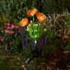 Luces de Cadena Cuidadosamente Seleccionadas para Acampar al Aire Libre, Césped del Patio, Luces Solares de Atmósfera Transfronterizas, Linternas, Decoración de Flores Simuladas, Suelo Impermeable