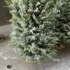 Árbol de cedro simulado falso ciprés de cedro escena navideña de nieve árbol de escena de nieve árbol de filmación árbol de Navidad salón de escultura de hielo decoración árbol de nieve