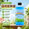 Solução Nutritiva Universal de Alta Concentração para Plantas Como Jiboia, Bambu da Sorte, Árvore da Fortuna, Suculentas, Flores Hidropônicas e Plantas Verdes