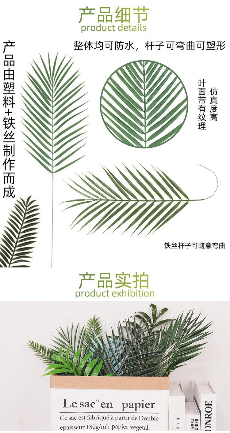 葵叶合集详情页_04.jpg