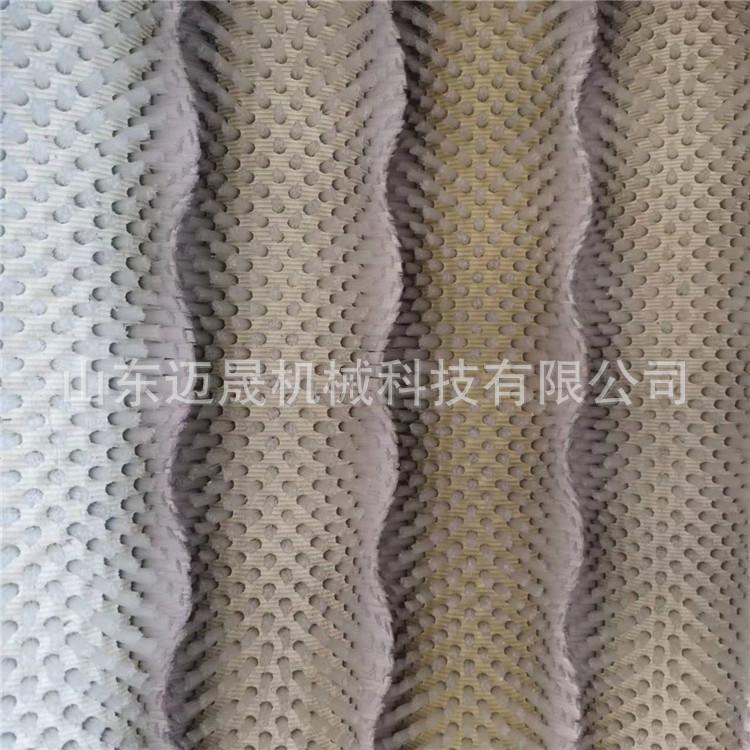 1200型毛辊清洗机 (9)