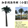 Provincia de Quang Ninh, Vietnam, Condado de Yuntun, Proyecto, Palmera Artificial Marina, Cocotero, Caso de Ingeniería Municipal, Árbol Artificial Grande Falso