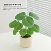 Plantas Verdes, Vasos Pequenos, Árvore da Fortuna Semelhante para Mesas de Escritório Internas, Mesas de Centro de Sala de Estar, Flores Artificiais e Arranjos Florais