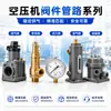 Accesorios para Compresores de Aire Sorante: Elementos Filtrantes, Anillos de Sellado, Correas, Válvulas Solenoides, Separadores de Aceite y Gas, Consumibles Generales