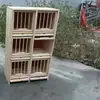 Caja Nidada Grande para Palomas de Competición, Jaula de Emparejamiento, Equipo para Palomas de Cría, Combinación de Madera Maciza para Palomas de Cría, Madera de Talla Única