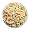 Grão de fruta desidratada liofilizado maçã em cubos grão de maçã seca maçã em cubos atacado a granel grão de maçã em estoque