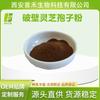 Polvo de esporas de ganoderma lucidum de pared celular rota 99% polvo de esporas de ganoderma lucidum y polisacárido de ganoderma lucidum primeros fabricantes de plantas