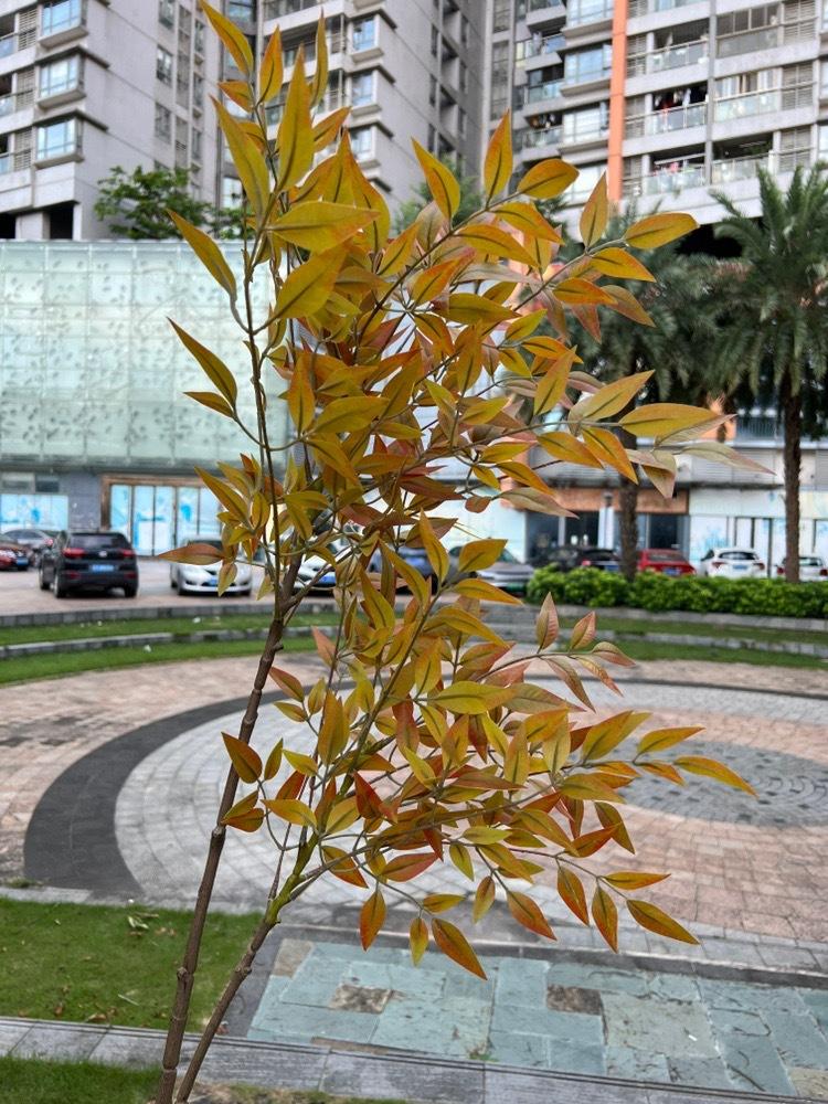 微信图片_20240904193431.jpg