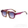 Óculos de Sol Europeus e Americanos Transfronteiriços Nova Moda Armação Grande Viga Dupla Lentes Bicolores Beleza Fashion Uv400 Estilo Moderno