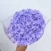 [Anna solteira] Hortênsia Eterna Anna Ramo Inteiro Hortênsia Flor Organizar Flor Fotografia Adereços Decoração