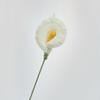 Flor de simulación de cala terminada, flor hecha a mano, tejida a crochet, flor falsa de lana para profesores, regalo creativo de graduación