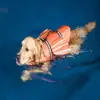 Produto exclusivo para exportação da Amazon: colete salva-vidas refletivo para cachorro com suporte de queixo, colete flutuador para pet, roupa de banho para cães pequenos e grandes