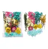 Flores Secas, Flores Imortalizadas, Kits de Materiais DIY, Pingentes para Presente de Dia dos Namorados, Acessórios de Velas para o Dia dos Namorados Chinês, Caixas de Presente, Decorações para Buquês