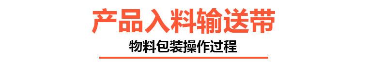 产品入料输送带.jpg