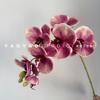 Morandi Vintage de Alta Gama Phalaenopsis Simple Lujo Ligero Ins Orquídea Flor Falsa Tienda de Pasteles Horneado con Flor Phalaenopsis