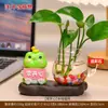 Vaso Hidropônico Desenho Animado Porco Raivoso Sapo Panda para Estação de Meninas Aparelho de Cultivo de Flores Aquáticas Enfeites Pequenos Decorativos de Mesa