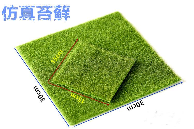 1790820653_1198909629