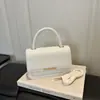 Moda de viajero estilo coreano cubierta texturizada única nueva 2026 color sólido casual simple bolso cruzado pequeño cuadrado