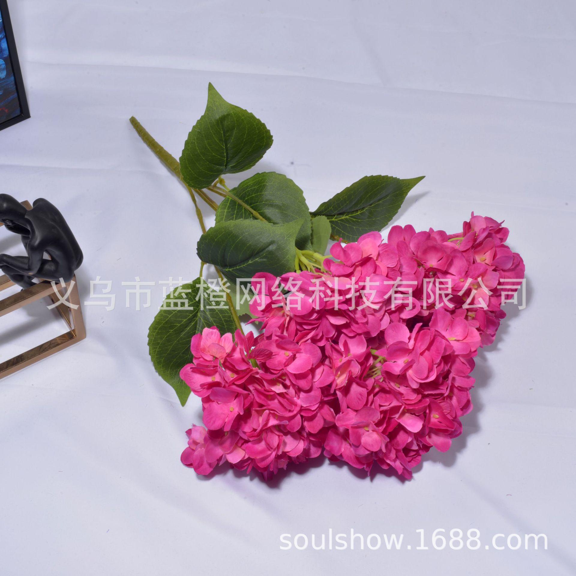 艳玫红2.JPG