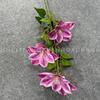 Flor de simulação de cor de primavera transfronteiriça sensação 3D 3 flor de clematis magnólia flor artificial decoração de casa refeição casamento flor de seda lote