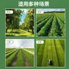 Rotocultivador de cuatro ruedas en stock mayorista oruga agrícola micro-rotocultivador agrícola surcado arado doméstico rotocultivador
