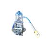 Bombillas Raylite para Coche H4H7H1H3 Luz Alta y Baja Luces Antiniebla Luces Halógenas 12V Alto Brillo Larga Vida Bombillas de Faro