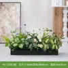 Hc-Cd3 Arreglo de Macetero de Flores de Planta Verde Simulada Combinación de Partición de Plantas Decoración de Paisajismo con Flores Artificiales Flores Falsas