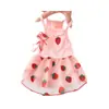 Saia de Gaze para Pet Vestido Fino de Verão para Cães Pequenos como Poodle, Teddy, Bichon, Yorkshire Terrier, e Gatos