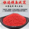 Pesca salvaje de otoño e invierno pozo negro puro mijo docena nido arroz gusano rojo almizcle vino arroz pesca docena nido material carpa cruciana carpa herbívora nido de fondo
